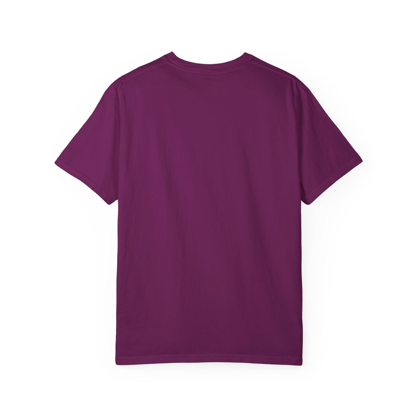 Justice for Britney Unisex Garment-Dyed T-shirt, Casual Tee, Fan Apparel, Music Merchandise, Statement Shirt, Social Movement Wear